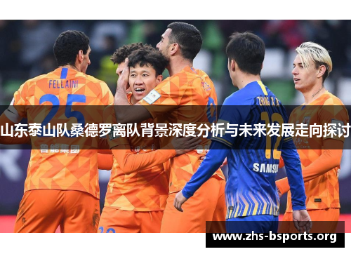 山东泰山队桑德罗离队背景深度分析与未来发展走向探讨 山东泰山队桑德罗离队背景深度分析与未来发展走向探讨