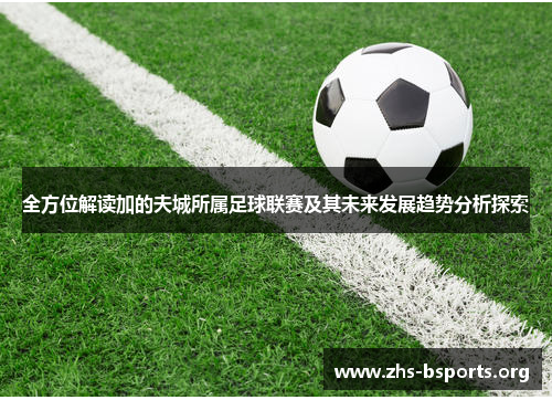 全方位解读加的夫城所属足球联赛及其未来发展趋势分析探索 全方位解读加的夫城所属足球联赛及其未来发展趋势分析探索